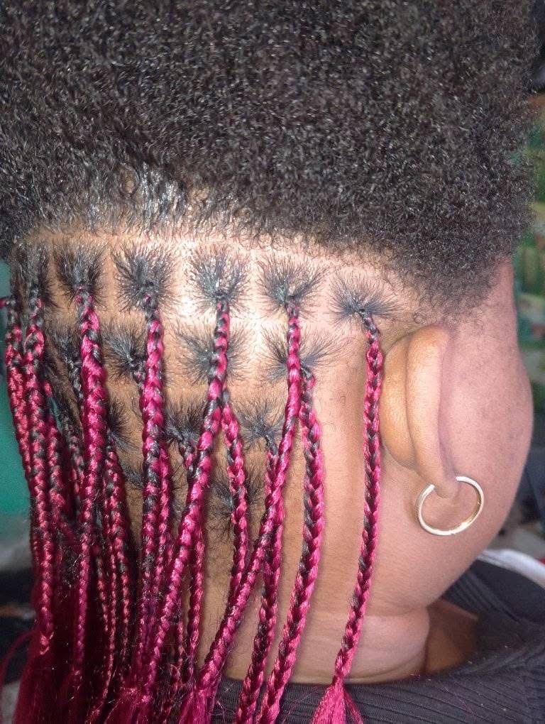 Braid