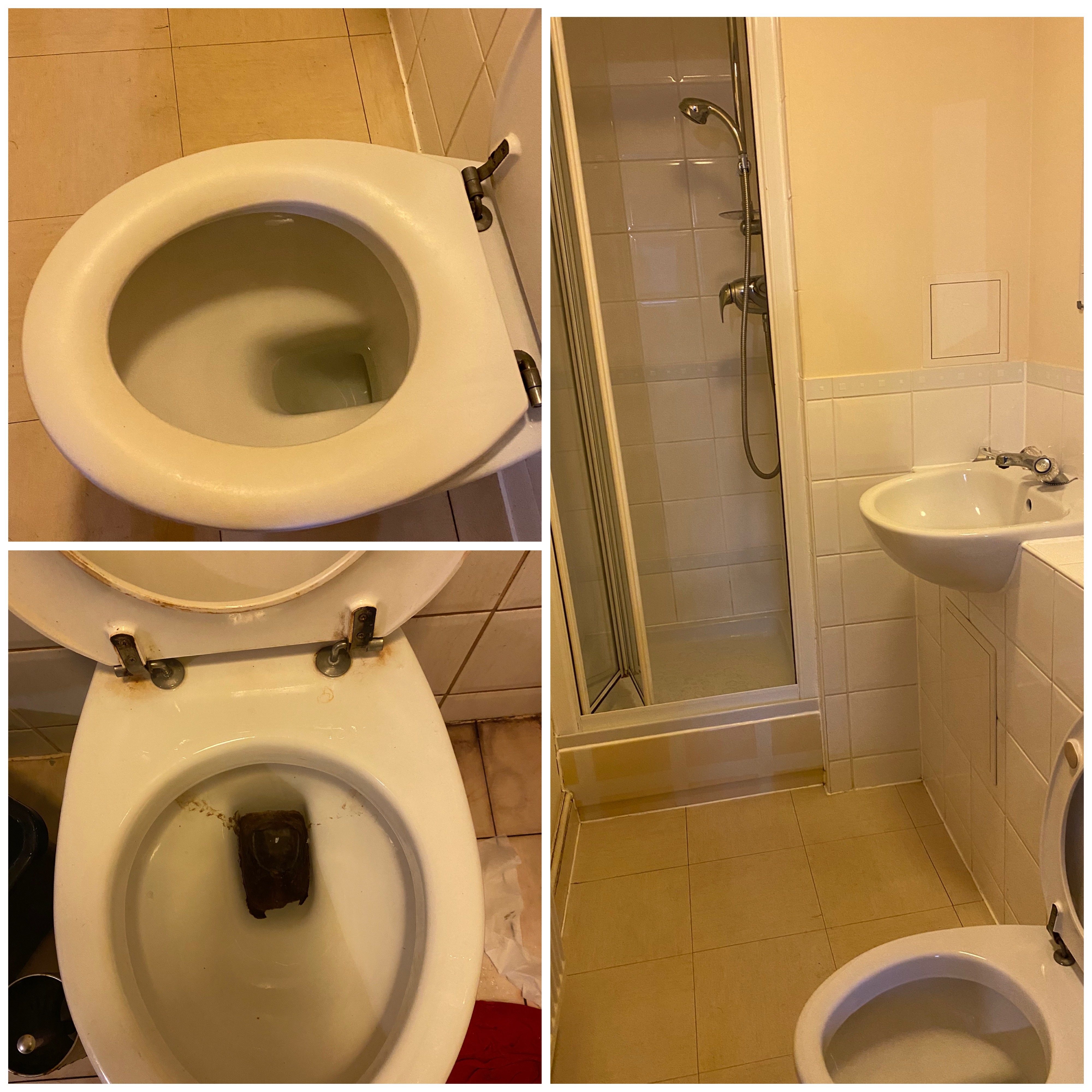 Move In / Move Out Deep Clean
